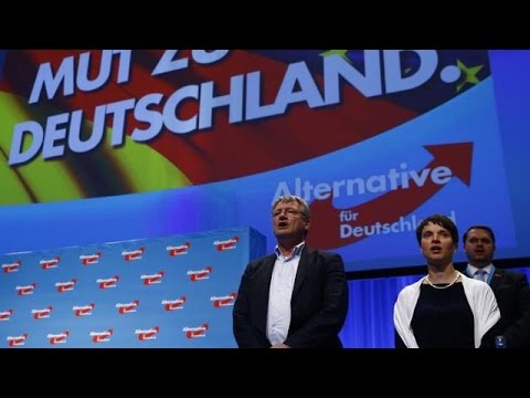 germanys afd party adopts antiislam manifesto