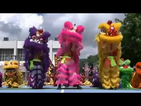 xi jinping arrives in hong kong for 20th anniversary