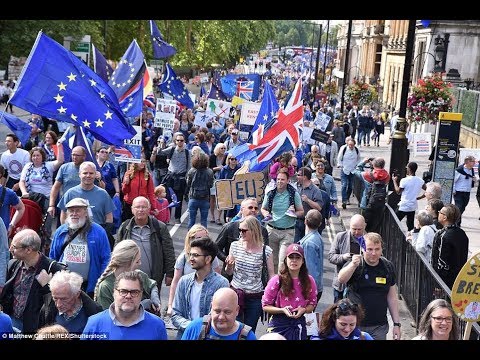 antibrexit activists march through parliament