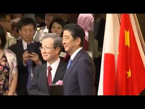 japanese pm attends event marking anniversary of ties