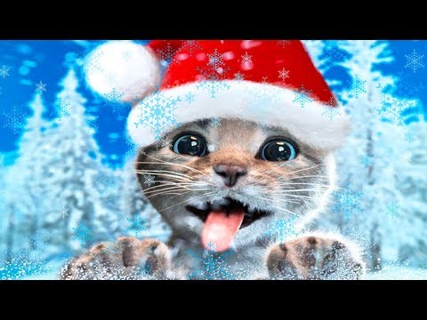 play fun costume dressup partypet care kids game
