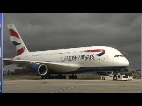 stowaway found dead after falling from plane