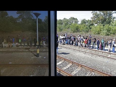 germany brings back border controls