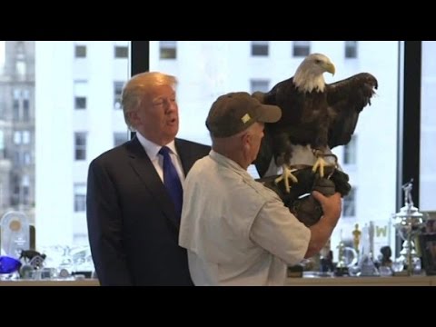 but jeanne moos reports the bird also snaps at liberals
