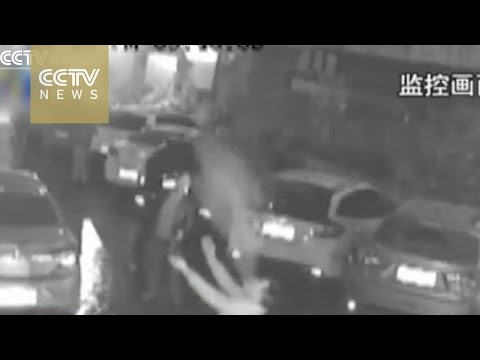 man catches woman who jumped off a building