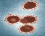الصحة العالمية تعلن انخفاض ملحوظ في وفيّات فيروس كورونا خلال 4 أسابيع