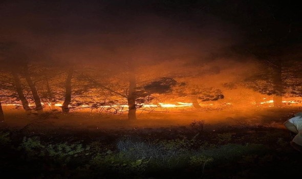 حرائق الغابات تهدد منشآت الصناعات الدفاعية في فرنسا
