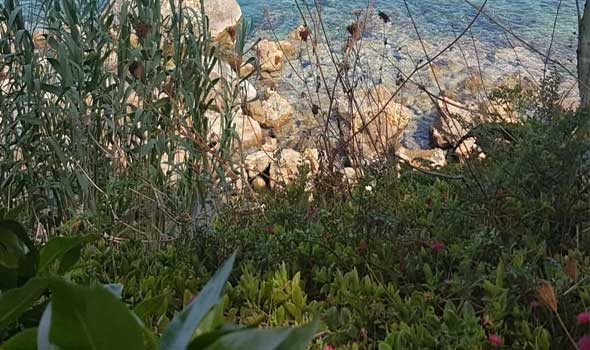   مصر اليوم - 