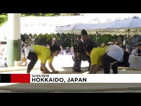اليابان تُنظم دورة نسائية استثنائية في رياضة السومو