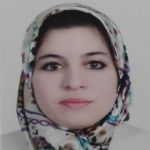 أهمية التواصل الفرانكفوني في المنظمات الدولية